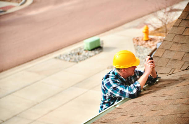 Best Roof Gutter Cleaning  in Summit, AZ